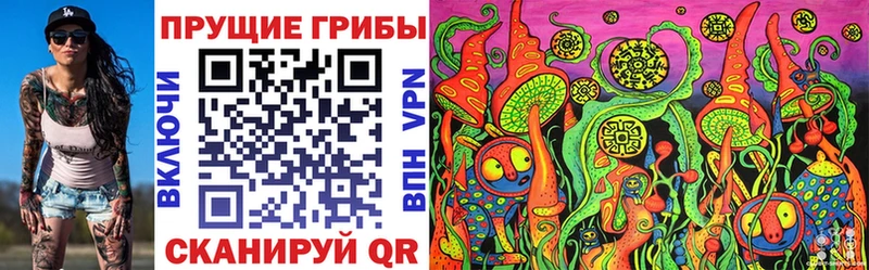 Псилоцибиновые грибы прущие грибы  Купить закладки  Заречный 